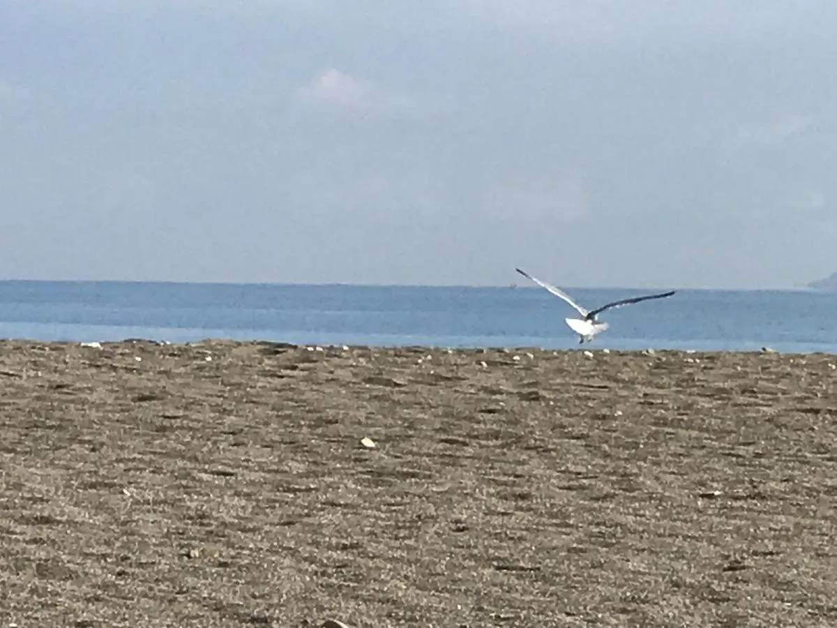 Margherita Sul Mare - 250 M From The Beach Apartment San Giorgio